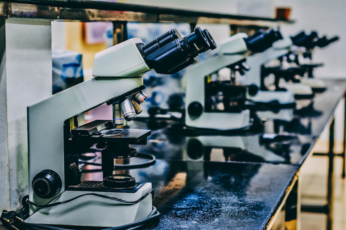 PPWR PFAS Restrictions in Food-Contact Packaging: Compliance Roadmap